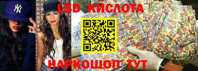гидропоника Будённовск