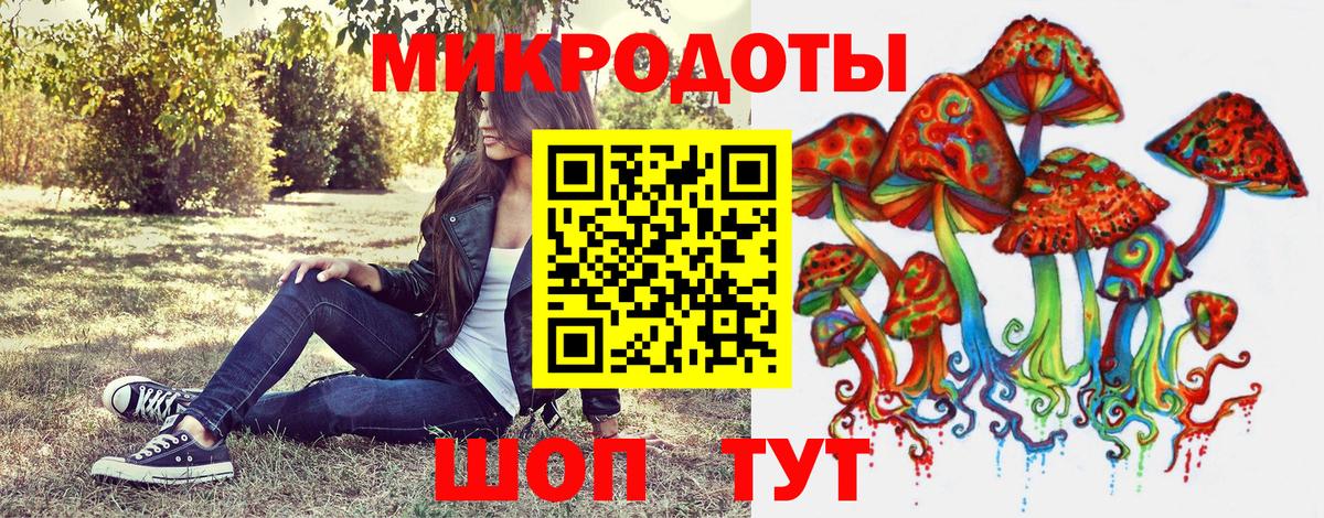 Реж  Псилоцибиновые грибы Psilocybine cubensis  Вход с VPN  Галлюциногенные грибы Psilocybe 